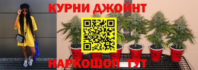 ПСИЛОЦИБИНОВЫЕ ГРИБЫ Абакан