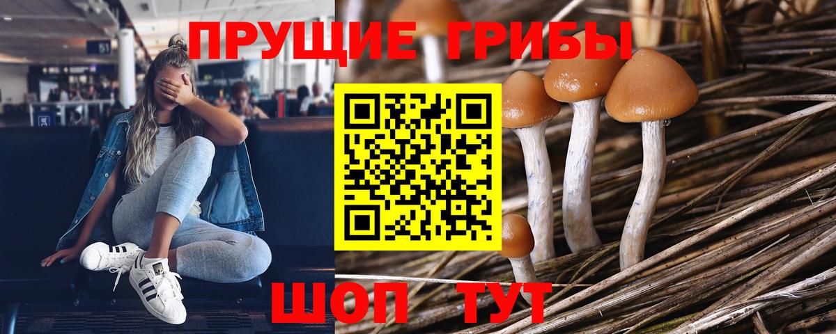 Галлюциногенные грибы прущие грибы  Вход с VPN  Алушта  Галлюциногенные грибы MAGIC MUSHROOMS 